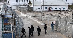 В России количество заключенных достигло исторического минимума. Красноярский край в лидерах по снижению