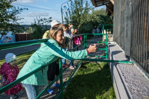 Директор зоопарка Красноярска назвал три причины отказа от покупки слона