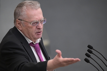 Жириновский предложил сократить новогодние праздники