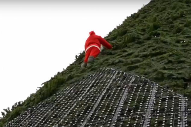 Монтажник в костюме Санта-Клауса покорил елку на острове Татышев