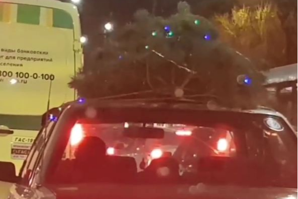 Красноярец возит по городу на крыше елку, украшенную иллюминацией