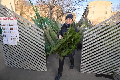 Названо главное отличие хорошей елки