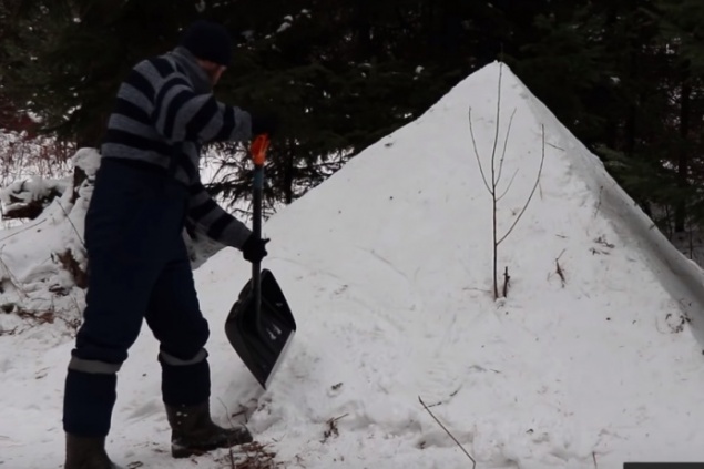 Блогер-лесник провел ночь в сугробе ради эксперимента и простыл