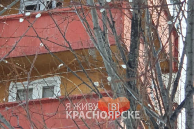 Из-за аномального тепла под Красноярском распустилась верба