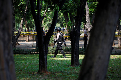 Россиян арестовали за выращивание конопли на Бали