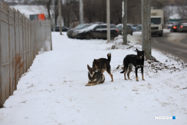 «Категорически не согласны»: в мэрии ответили на арест главы УДИБ