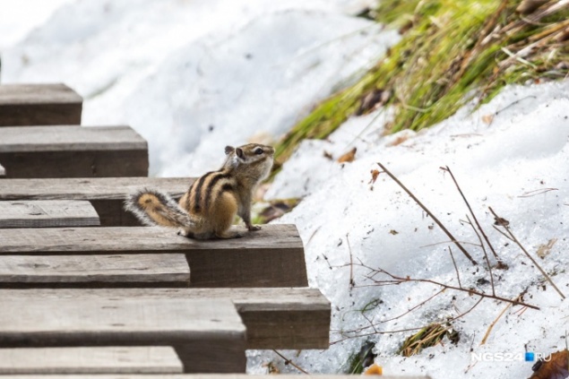Снег, дождь, слякоть и плюсовые температуры: какой будет погода на рабочей неделе