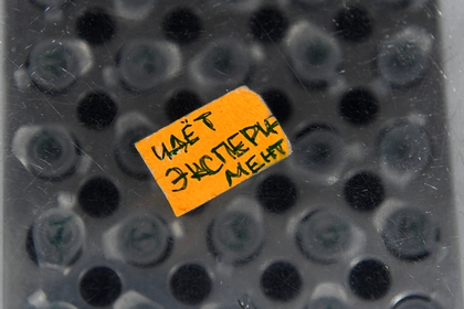 Ученые МГУ заявили о готовности создать вакцину от коронавируса за три месяца