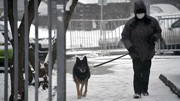 В Красноярском крае с 1 апреля вводят режим самоизоляции