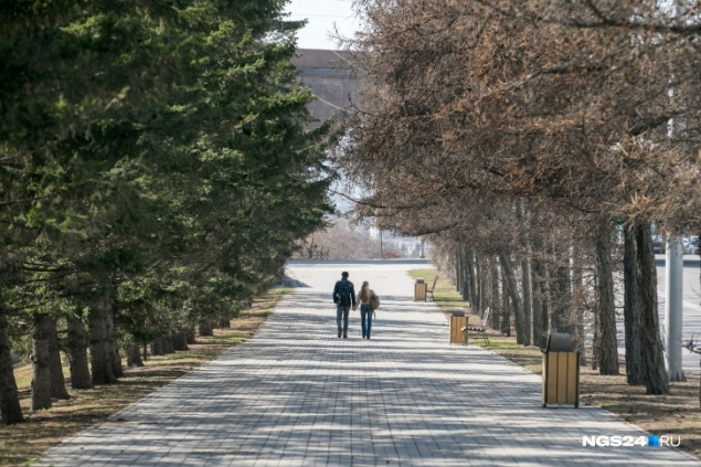 Разрешили прогулки, дачу и лечиться дома: какие послабления внесли в режим самоизоляции в крае