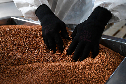 Названо оптимальное питание для самоизолированных россиян