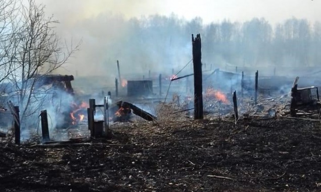 В Абанском районе жители деревни подожгли траву и спалили пять заброшенных домов. Жилые удалось отстоять