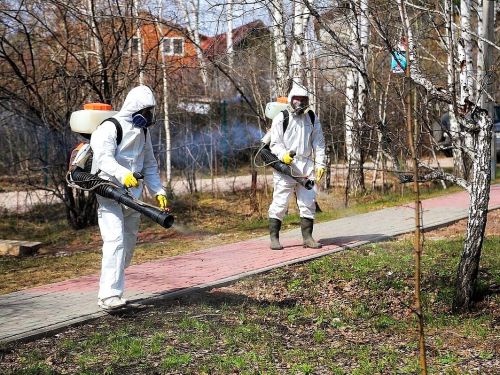 В середине мая в Ачинске пройдет противоклещевая обработка парков, скверов и общегородских мест памяти