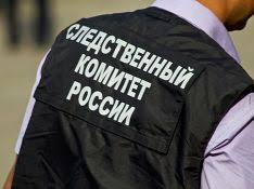 Бывший депутат Тюхтетского района сознался в незаконной вырубке леса на 3 миллиона