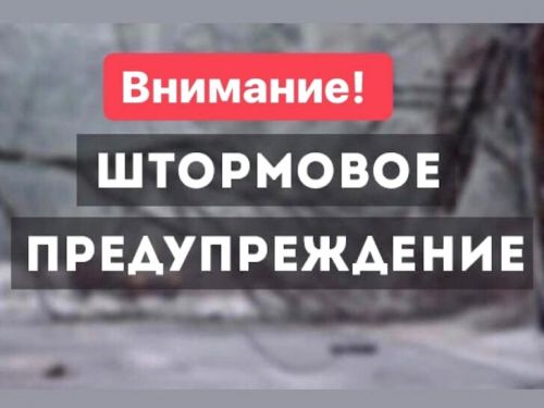 ШТОРМОВОЕ ПРЕДУПРЕЖДЕНИЕ: надвигается сильный порывистый ветер