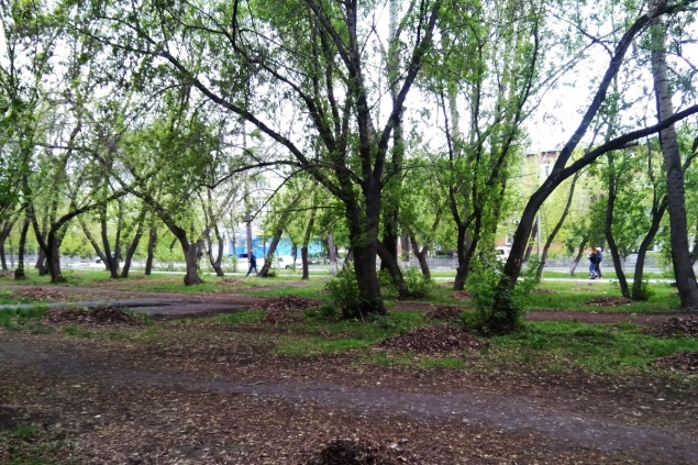 В сквере на улице Зверева установят сцену и теннисный стол