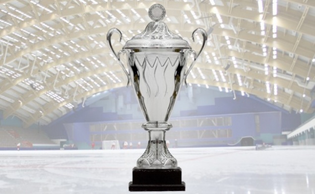 Кубок мира по хоккею с мячом пройдет в Красноярске