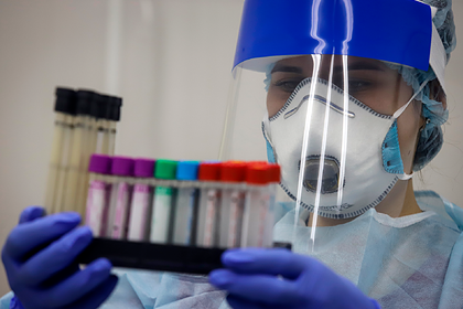 В России нашли редкий вид опасных для жизни хантавирусов