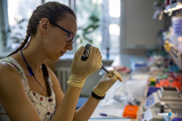 Учёные создадут тысячи мышей с человеческими генами, чтобы заразить их коронавирусом