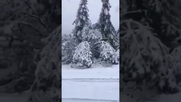 Перевал на границе Тувы и Хакасии засыпало снегом, а под Саяногорском град разбил машины