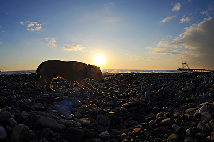 Оценена стоимость отдыха на курортах России в июле