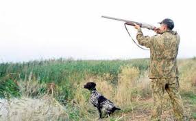 В субботу в Красноярском крае стартует сезон охоты на пернатую дичь. Браконьеров возьмут под особый контроль