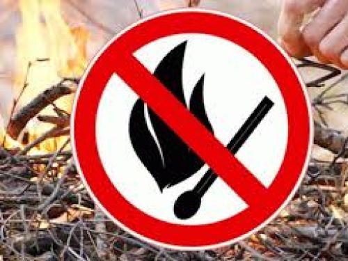 Управление «ЕДДС, ГО и ЛЧС» напоминает о правилах пожарной безопасности во время отдыха при посещении лесов