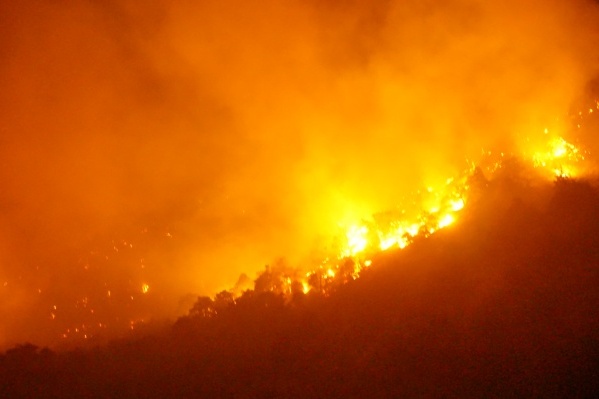 В Анапе три дня горел заповедник «Утриш»: огонь уничтожил уникальный лес