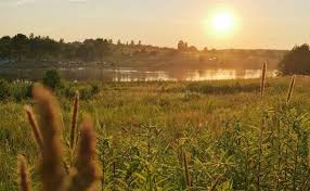 «Пасмурно и умеренно тепло»: синоптики рассказали о погоде в последние выходные лета