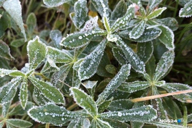 На юге Красноярского края выпал первый снег