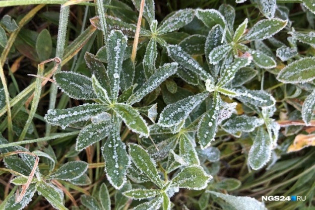 Погода на выходные: снег и ночные заморозки до -7