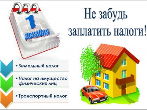 Срок уплаты транспортного, земельного и имущественного налогов физических лиц за 2019 год – не позднее 1 декабря 2020 года
