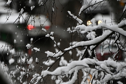 Гидрометцентр дал прогноз на декабрь