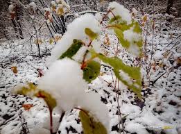 На выходных в Красноярске вновь начнет меняться погода