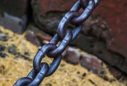 В Кузбассе мужчина решил вернуть неверную жену, посадив ее нового друга на цепь