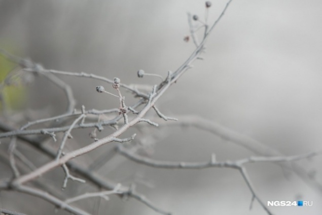 После диких заморозков к Красноярску идет потепление