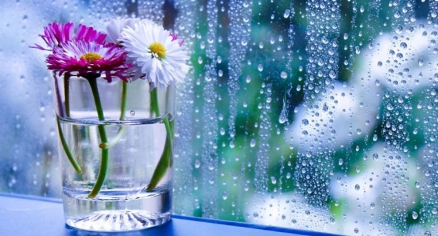 Почему плачут и запотевают окна?