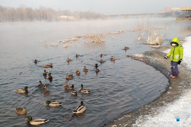 Температура на следующей неделе будет колебаться от ноля до -25