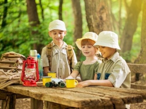 Ачинским школьникам предоставят бесплатные путевки в детские оздоровительные лагеря