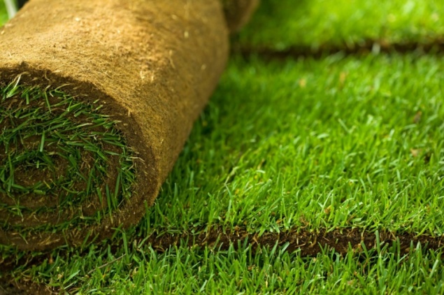 Как укладывать рулонный газон самостоятельно