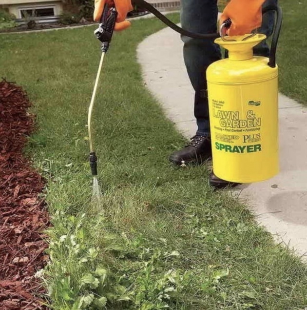 Делаем раствор от сорняков своими руками: