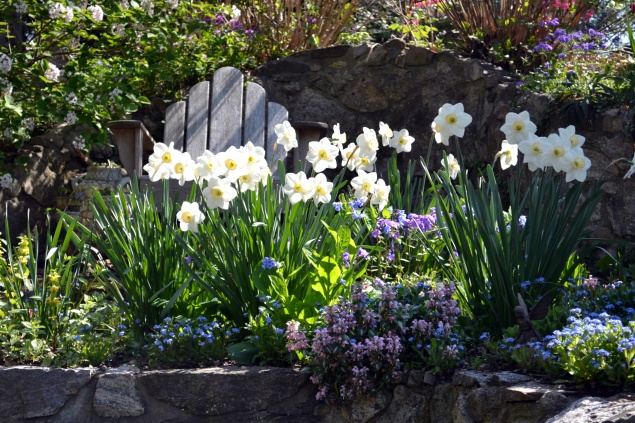 8 токсичных садовых растений (будьте с ними осторожны)