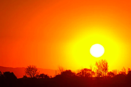 Более сотни человек погибли от аномальной жары в Канаде