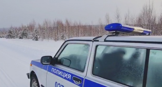 Сотрудники полиции Ачинска осуществляют мероприятия по пресечению незаконной рубки леса