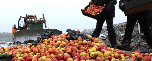 В России предложили запретить уничтожение продуктов