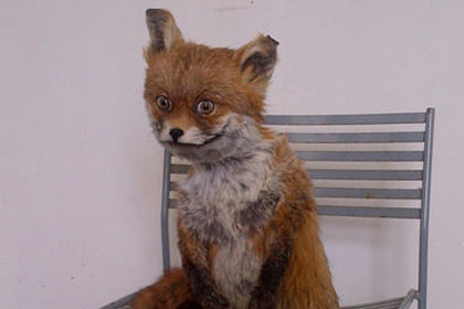 Второй Упоротый лис ушел с молотка