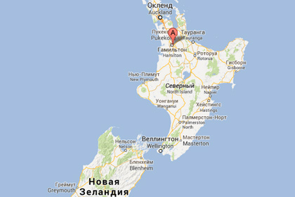 Вор испугался трупа во взломанном доме