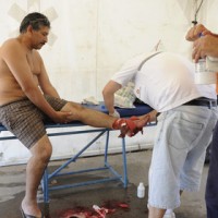 Пираньи покусали 70 человек на аргентинском пляже