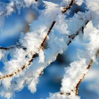 Декабрь 2013 года стал самым теплым в истории России