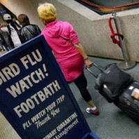 В Северной Америке зафиксирован первый случай смерти от птичьего гриппа